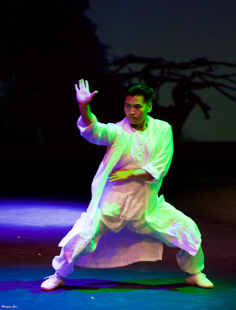 第三届2015“金牡丹”国际音乐节_宗师级武术家杨龙飞先生表演