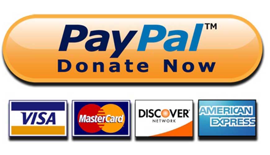 This image has an empty alt attribute; its file name is When-and-How-to-Add-Paypal-Donate-Button.jpg